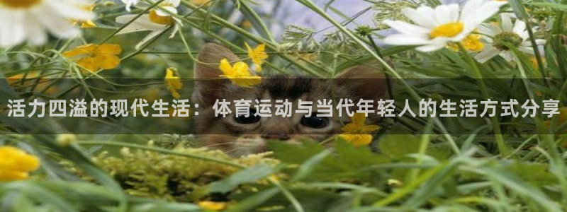 杏耀凯捷注册