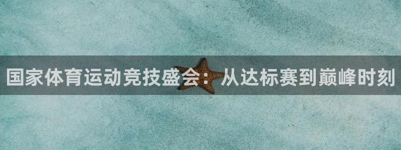 杏耀测速