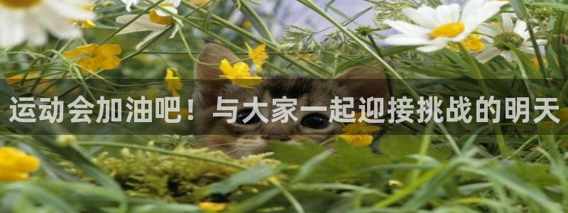 杏耀4代理