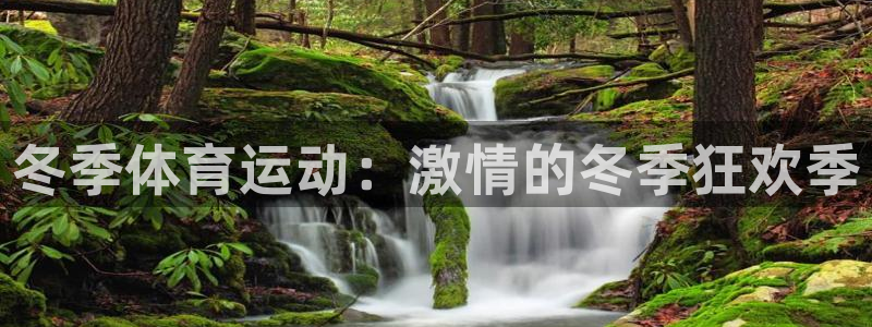 杏耀代理登录中心