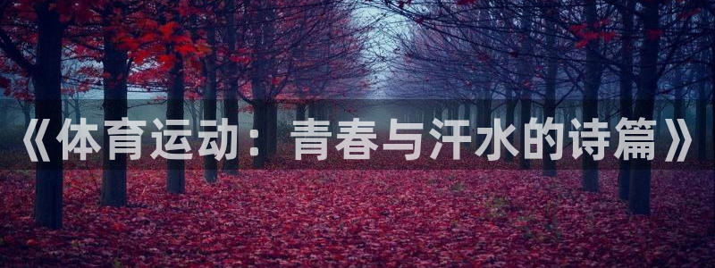 杏耀主管