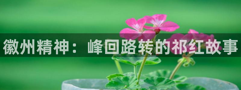 杏耀账号登录