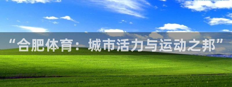 杏耀股份
