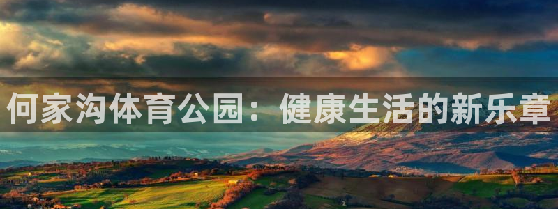 杏耀平台测速最新版本更新内容