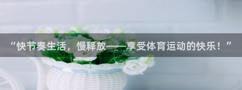成都杏耀电子有限公司