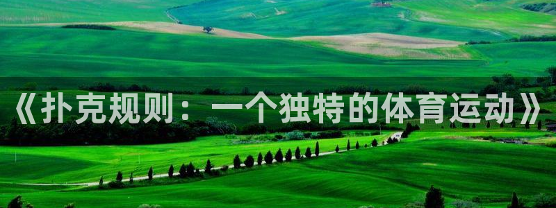 杏耀体育和杏耀是哪个公司的