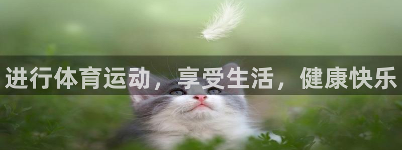杏耀主管